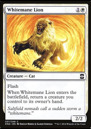 Whitemane Lion (Weißmähnenlöwe)